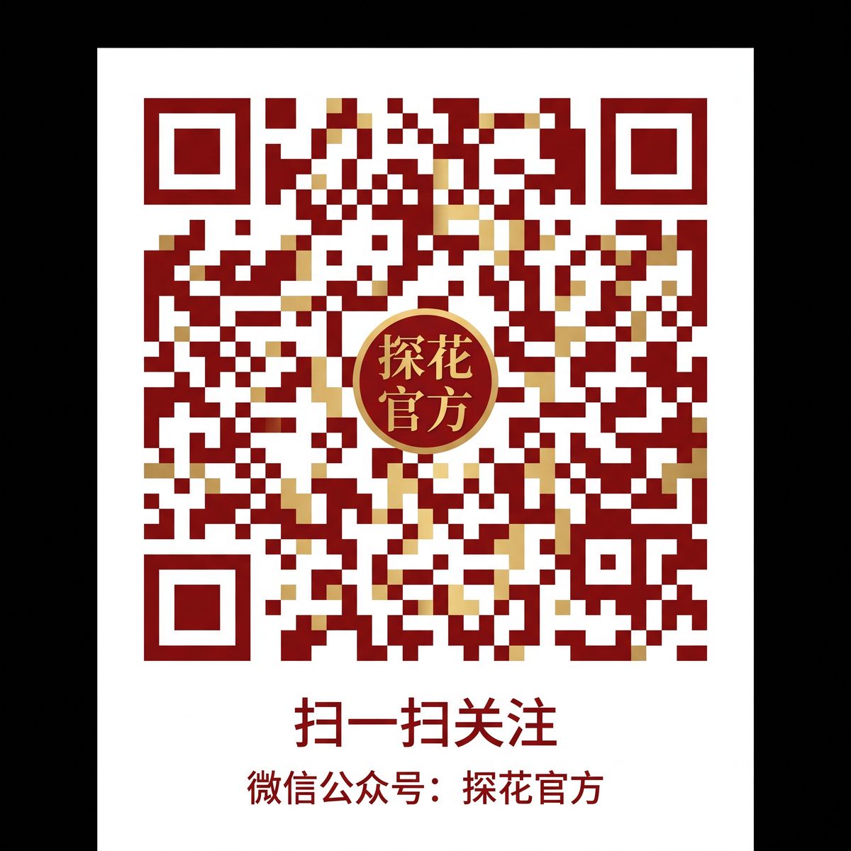 麻豆公众号二维码